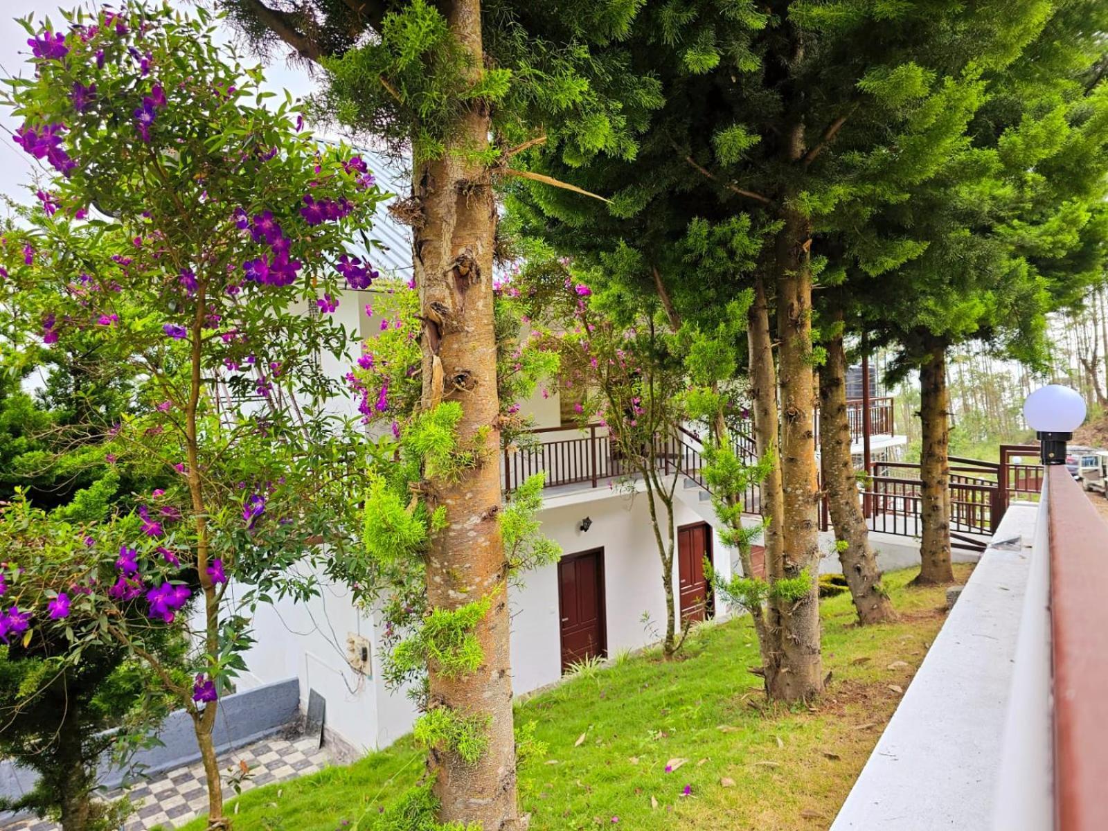 Rock And Mist Munnar Bed & Breakfast Devikolam Exterior photo